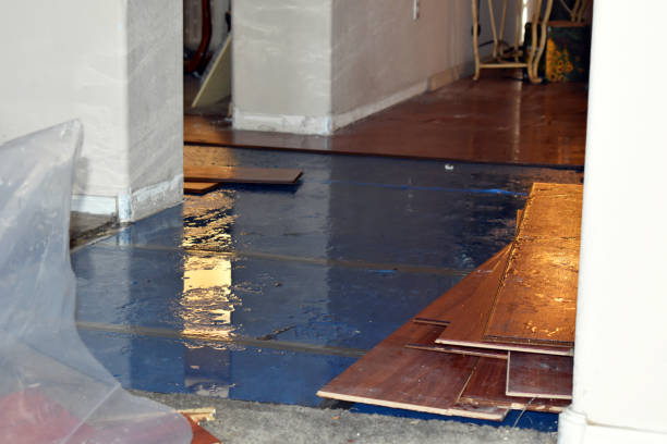 Professional Water Damage Restoration technician working in Allenton, WI